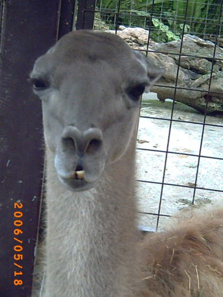 ぁ･･･何か？