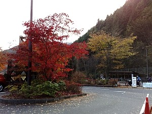 奥多摩・都民の森