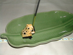 -smallDSCN3412.JPG