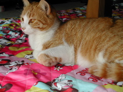 ぬくぬくだぁ～