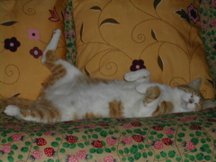 うっへぇ・・重たい