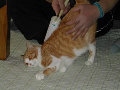 これよ～これ！