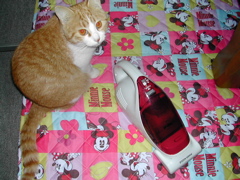 なんなのにゃ～！！