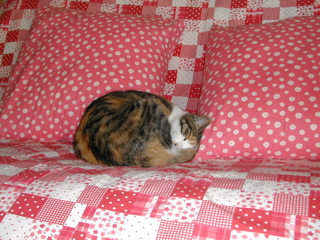 いつもの定位置