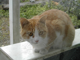 外が楽しいのだ～～