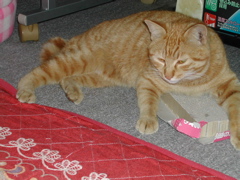 やじり　その２