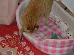 やじり　その３