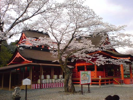 20080329NO7