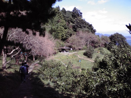 20101027NO7