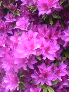 070424_1525~01.jpg