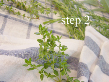 arai のコピー.jpg