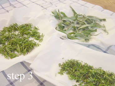 DSC03459 のコピー.jpg