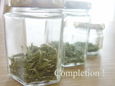 DSC03463 のコピー.jpg