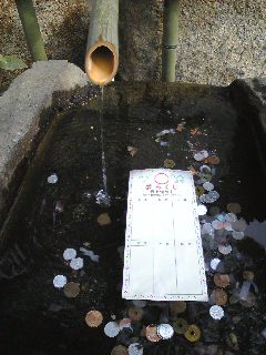 水みくじ.jpg