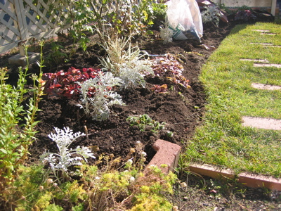 花壇と芝生の仕切りを撤去 種まきとガーデニング 楽天ブログ