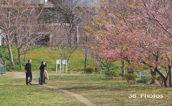 素敵なおじいさん