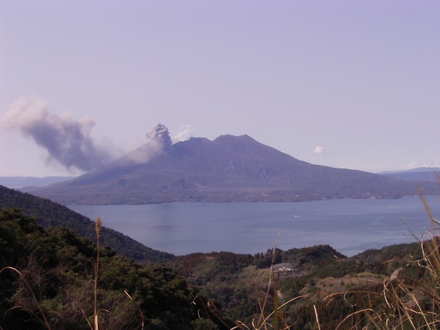 110.JPG