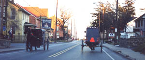 amish1.jpg