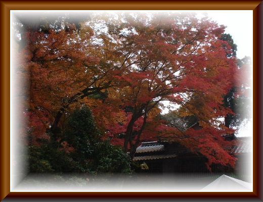 永勝寺