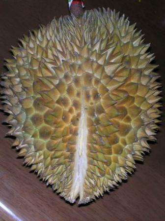 切り込めドリアン