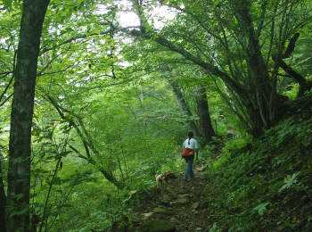 登山.jpg