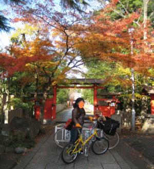 東福寺.jpg