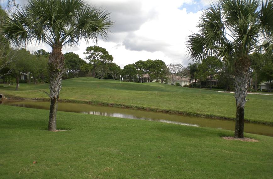 florida3.jpg