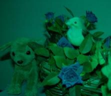 2007年8月ねこの挙式 251.jpg