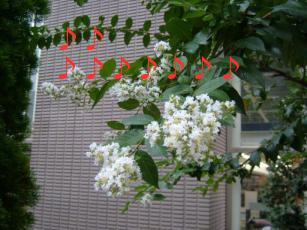 2007年9月だよ 011.jpg