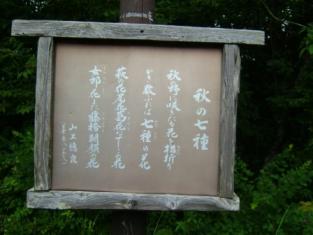 ２００８九月ガラスの森で 375.jpg