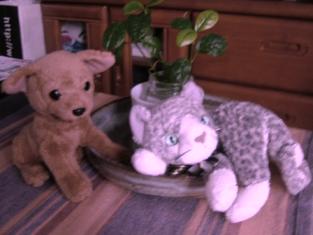 2007年6月諏訪と風林火山 144.jpg