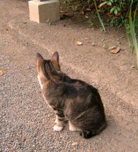 2005 6月14日山渓園 084.jpg