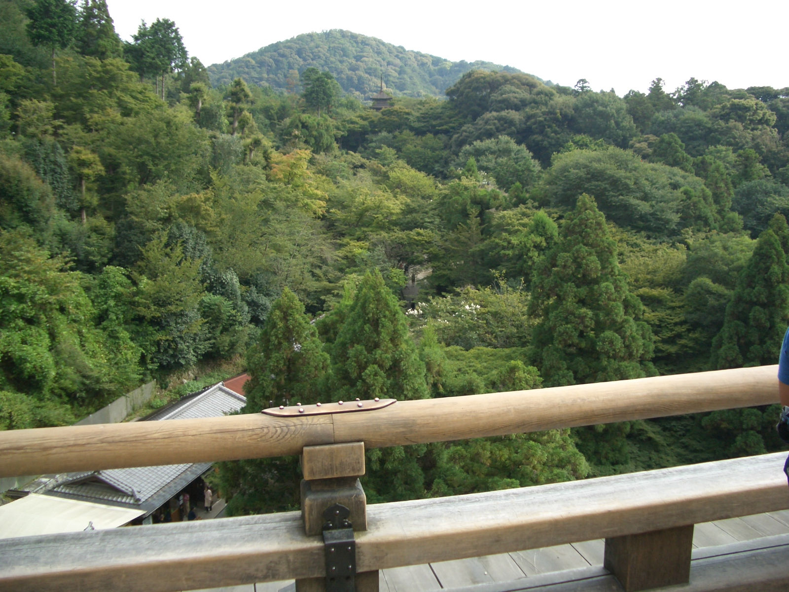 清水の舞台から