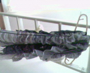 2010-01-17 12:42:19