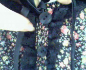 2010-01-17 12:14:48