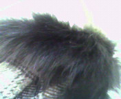 2010-01-17 12:25:41