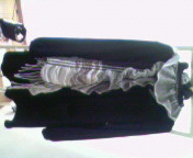 2010-01-17 12:33:29
