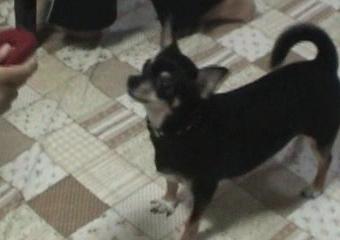 2009_11_15 10_03_0001.jpg