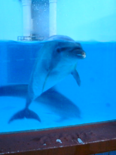20080830182852.jpg