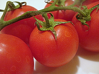 カンパリトマト