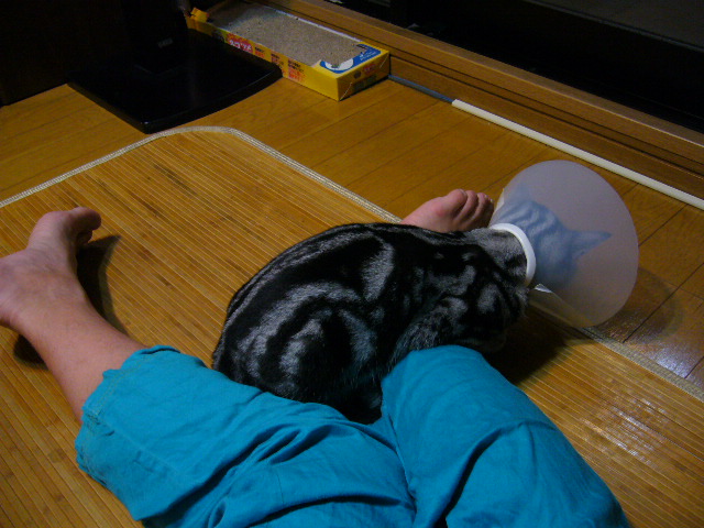 P1020054.JPG