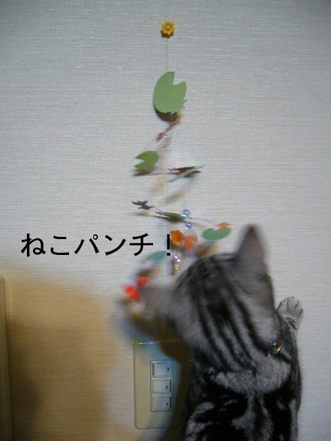 P1010640.JPG