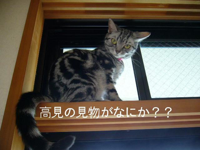 P1010703.JPG