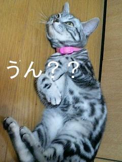 070524_2031~0002.jpg
