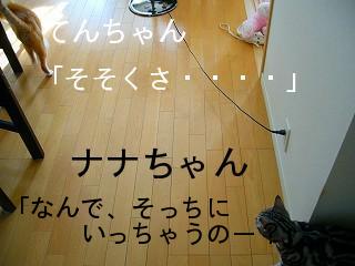 P1020348.jpg