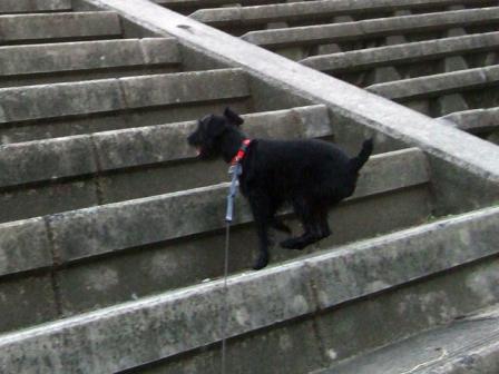 DSCF5739.JPG
