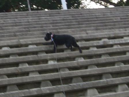 DSCF5901.JPG