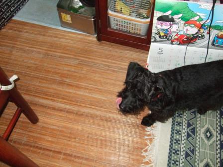 DSCF6204.JPG