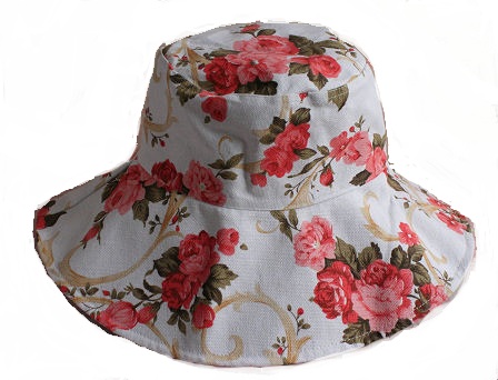 hat-2011-1.jpg
