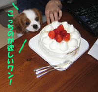 ケーキ.jpg